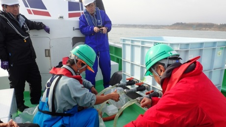 Fukushima marine sediment sampling - 460 (IAEA)